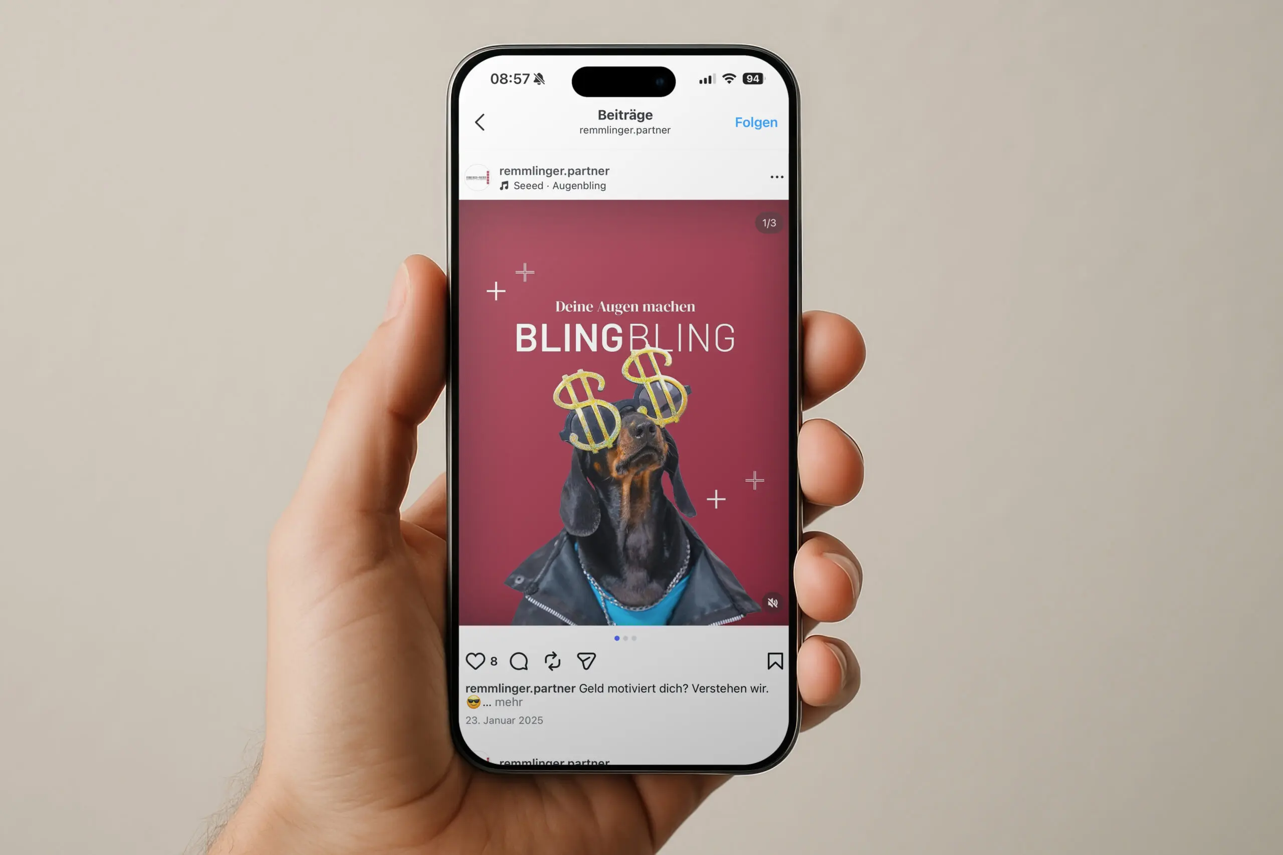 Eine Hand, die ein Smartphone hält, auf dessen Bildschirm ein Instagram-Post zu sehen ist, der einen Hund in einer Jacke zeigt, mit goldenen Dollarzeichen über den Augen und dem Schriftzug „Deine Augen machen BLING BLING“ auf rosa Hintergrund.