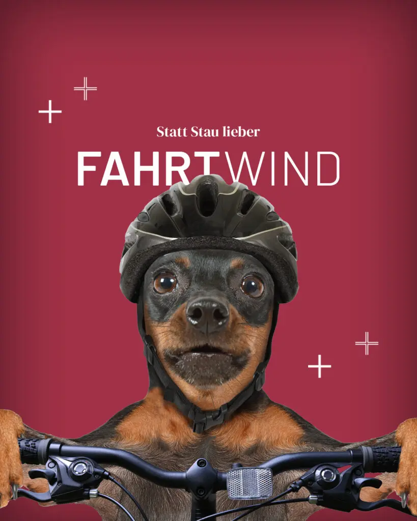 Ein Hund mit einem schwarzen Fahrradhelm hält sich am Fahrradlenker fest, vor einem dunkelrosa Hintergrund. Der deutsche Text darüber lautet: „Statt Stau lieber FAHRTWIND“. Weiße Pluszeichen zieren den Hintergrund.