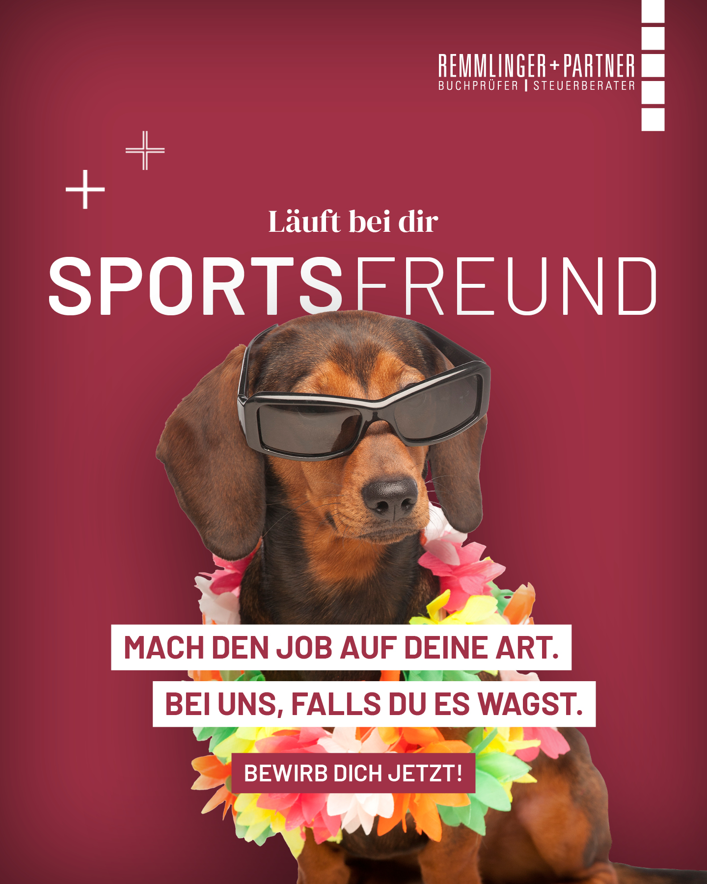 Vor einem roten Hintergrund ist ein Dackel mit Sonnenbrille und einer bunten Blumenkette zu sehen, begleitet von einem Text, der dazu aufruft, sich bei Remmlinger + Partner zu bewerben.